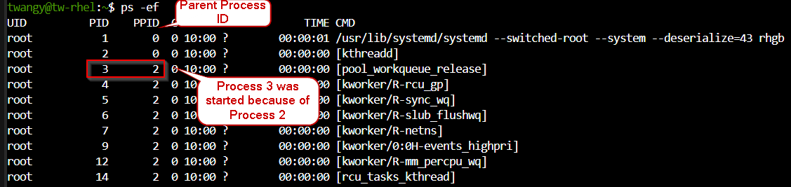 psef.png